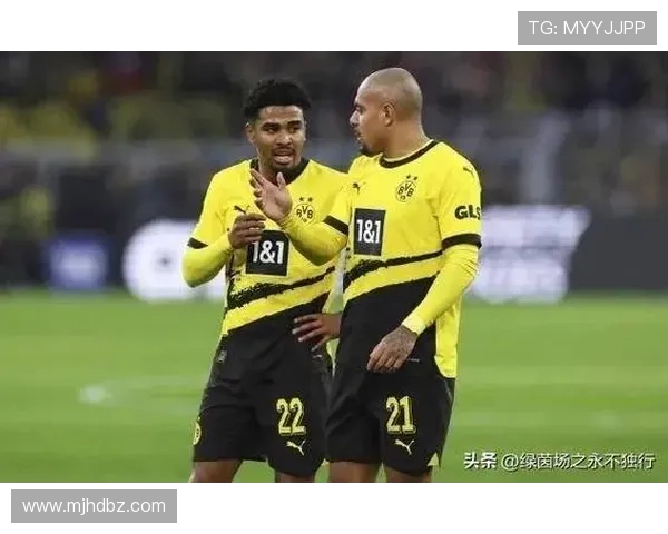 多特19岁前锋科尔坎贝尔欲冬窗离队多家俱乐部表达浓厚兴趣